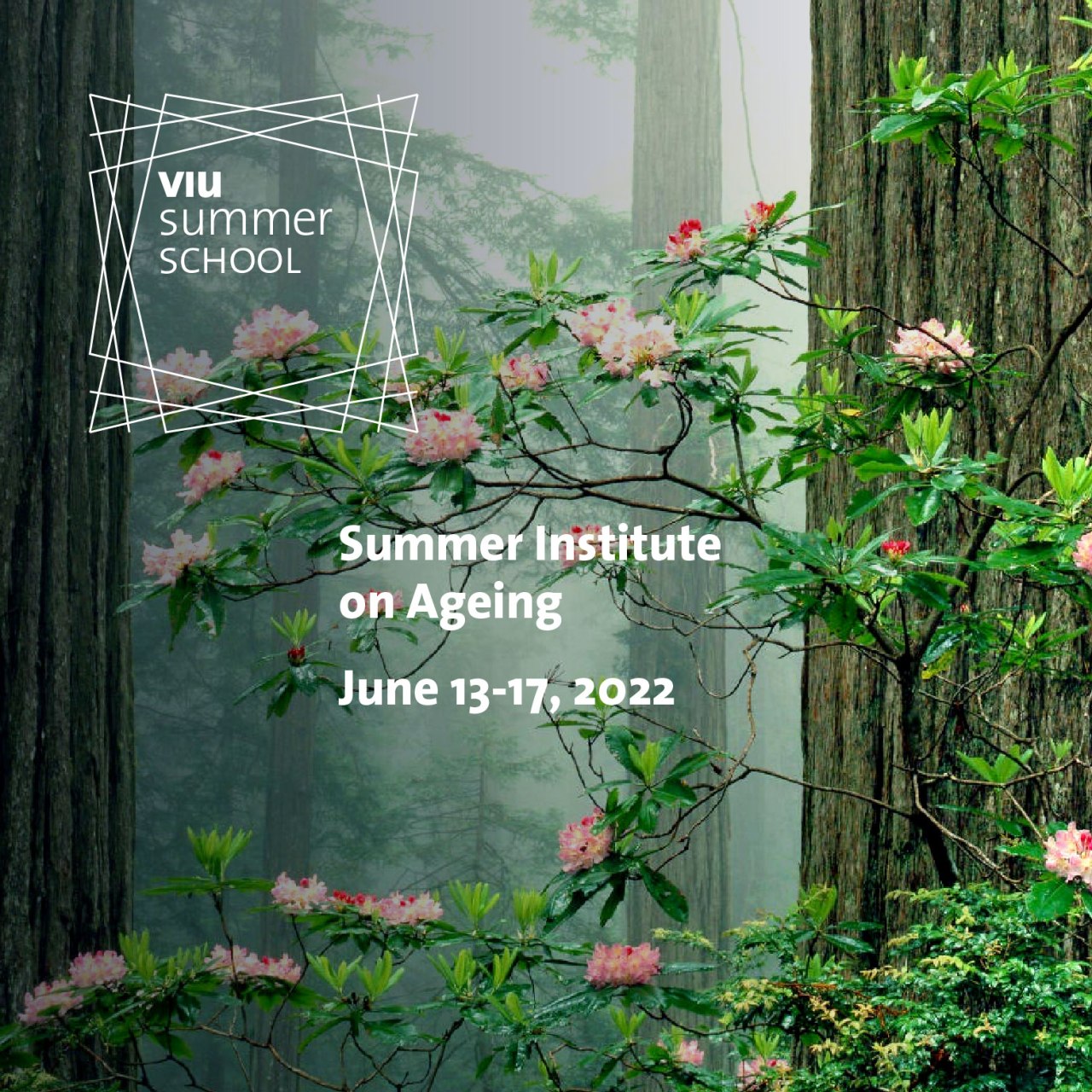 Summer Institute on Ageing 2022 